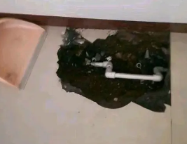 五峰卫生间测漏水多少钱